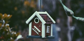 closeup photo of red and white bird house
